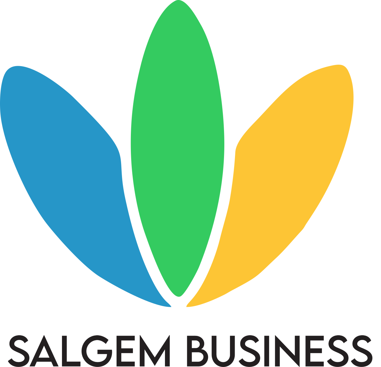 salgem-business-logo
